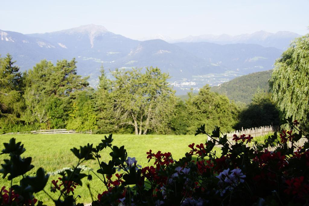 Gastreinhof Meltina Exteriör bild