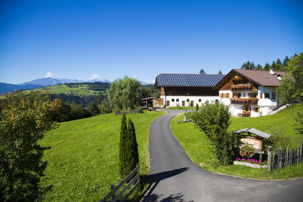 Gastreinhof Meltina Exteriör bild
