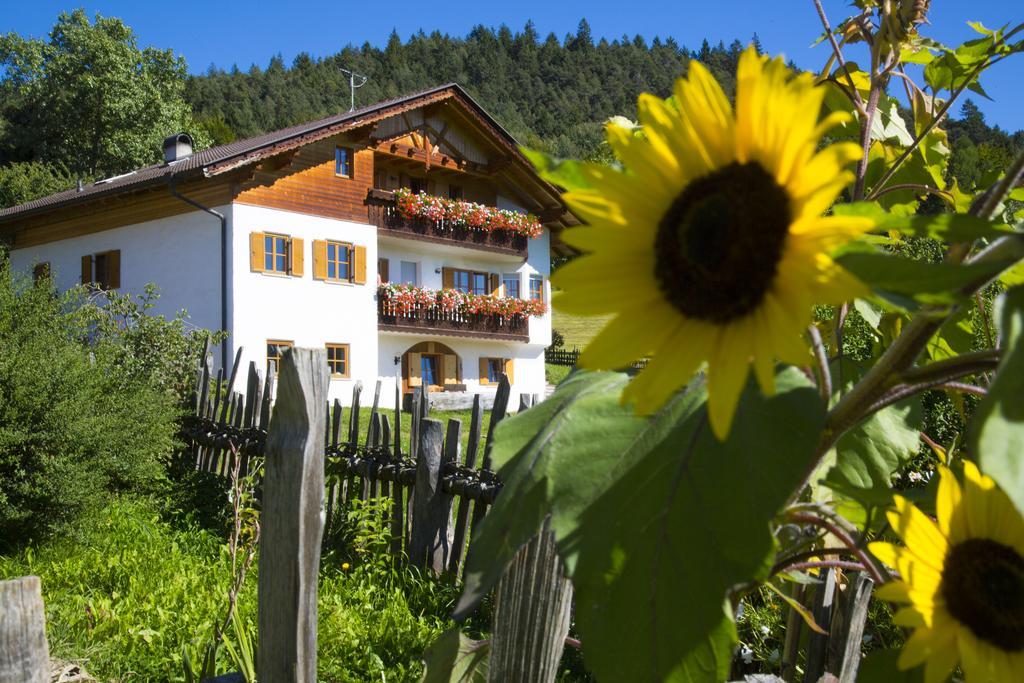 Gastreinhof Meltina Exteriör bild