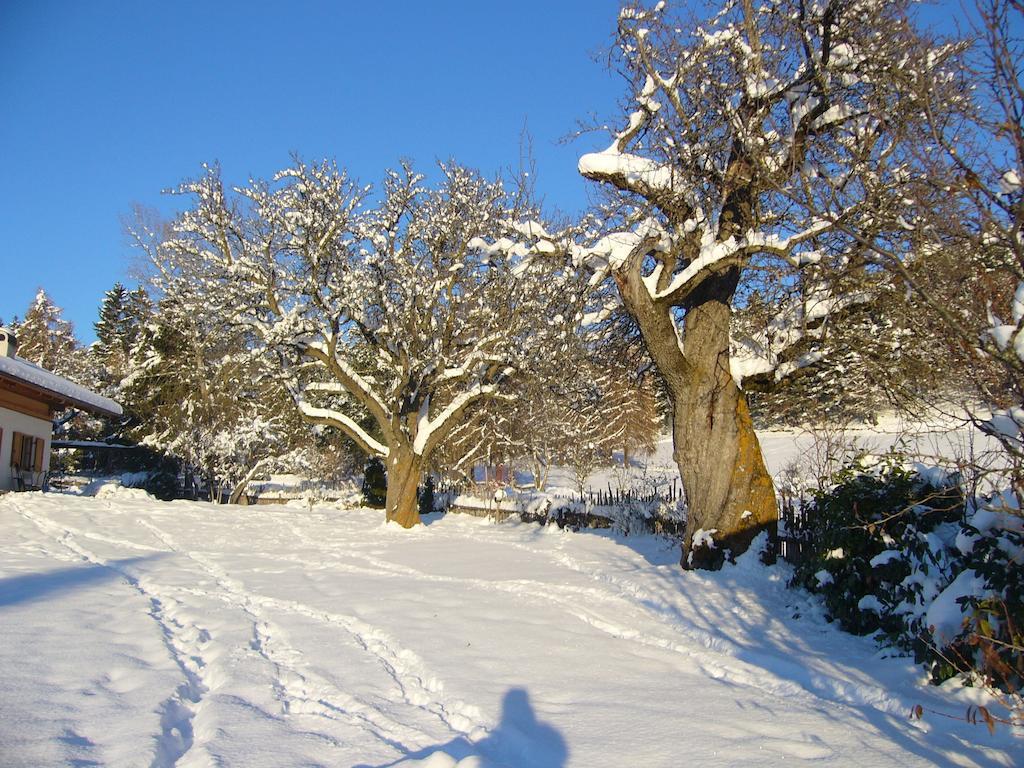 Gastreinhof Meltina Exteriör bild